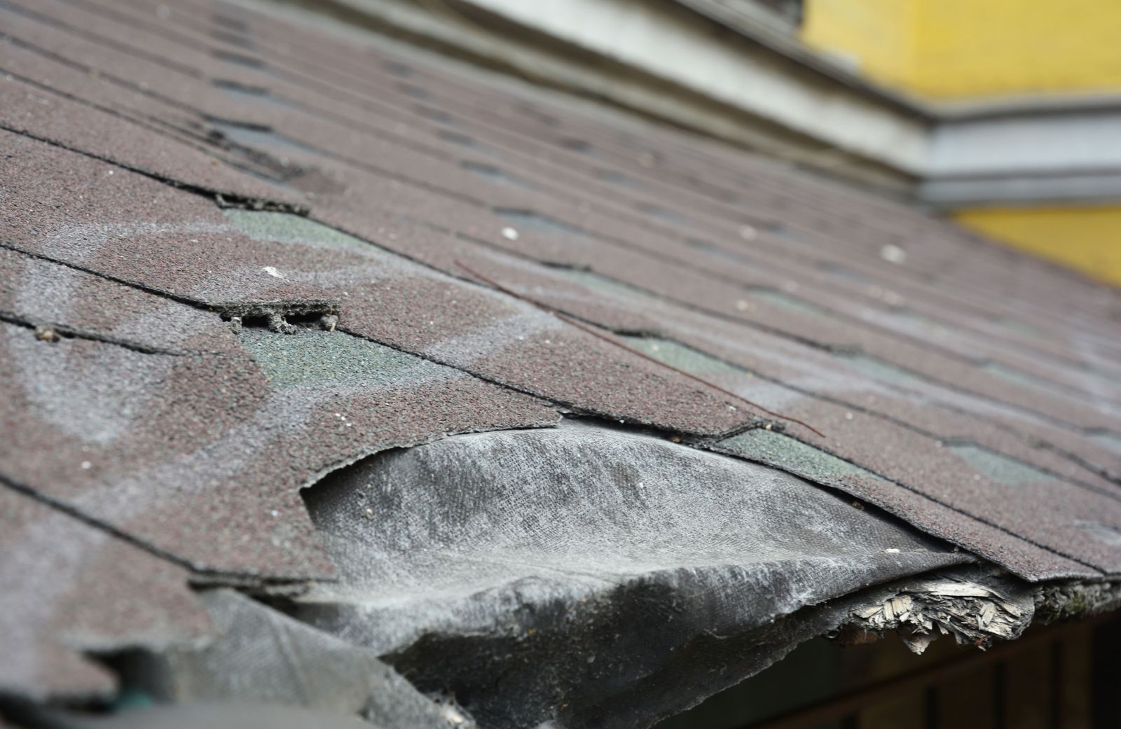 Tuscarora Roofing Images