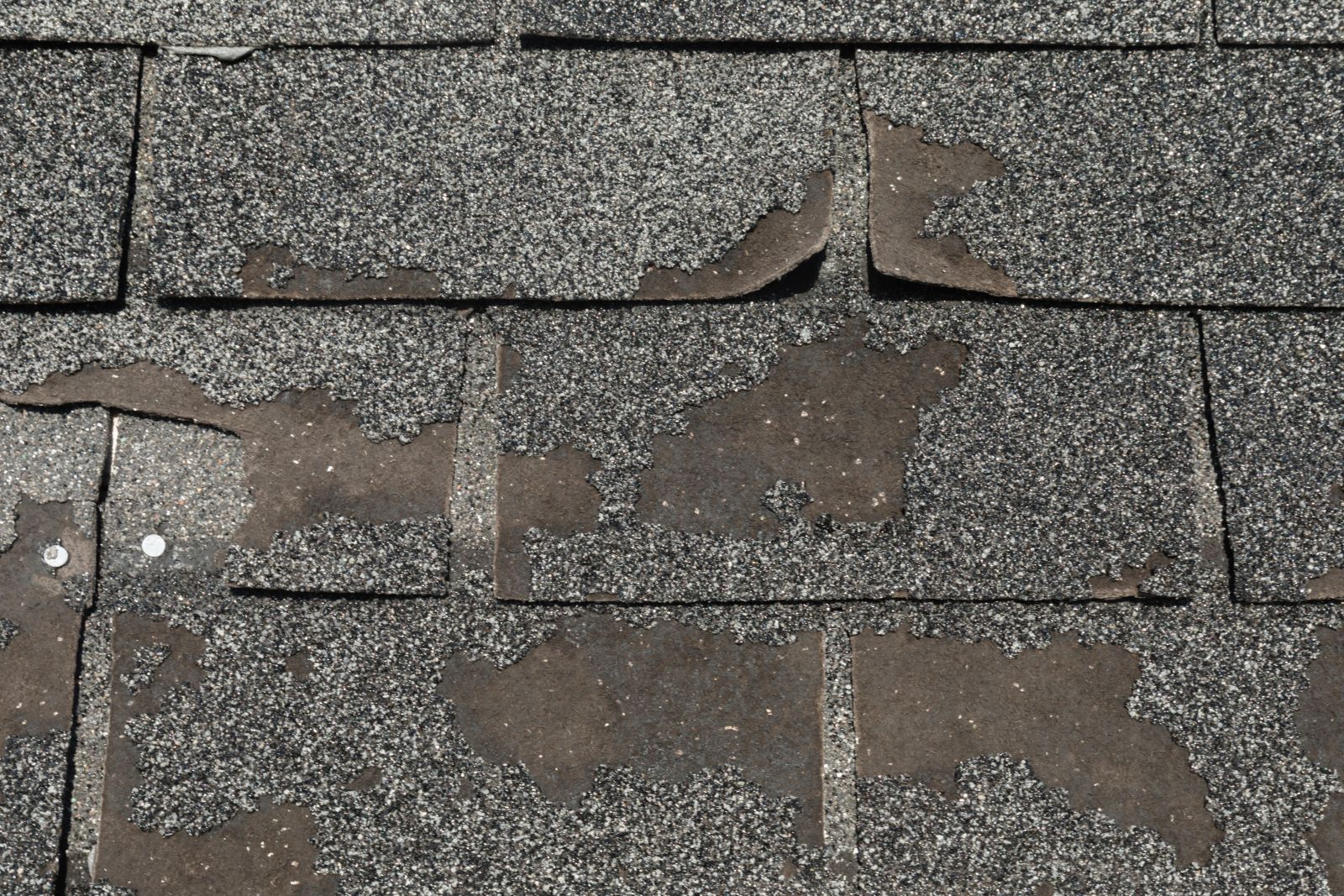 Tuscarora Roofing Images